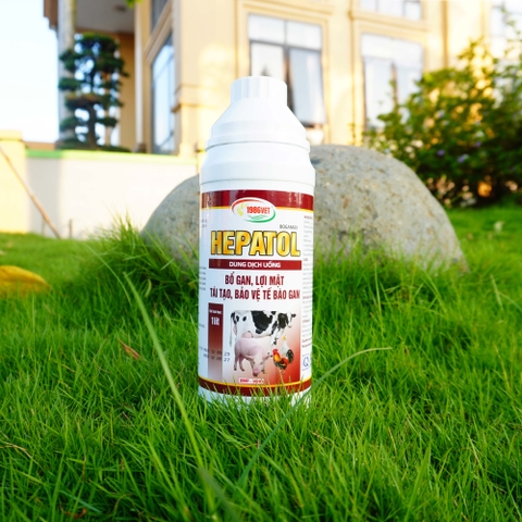 HEPATOL (BOGAMAX 1lit