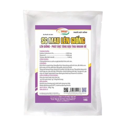 SG MAU LÊN GIỐNG 1kg