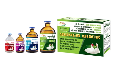 SUPER DUCK bộ 4 sản phấm của vịt