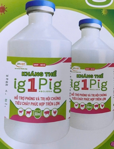Kháng thể ig 1 Pig PECLOSA 50ml