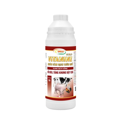 VITANINE GOLD (NHÂN SÂM DỊCH TRÙN QUẾ) 1lit