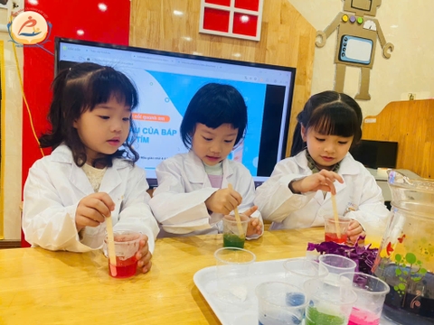 SGlobal Edu hợp tác cùng trường Mầm non Phương Anh - Bắc Ninh