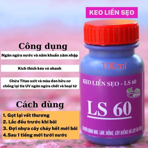 Keo Liền Da Cây LS 50 - 60 -70 Dòng Keo Liền Sẹo Cho Cây cảnh