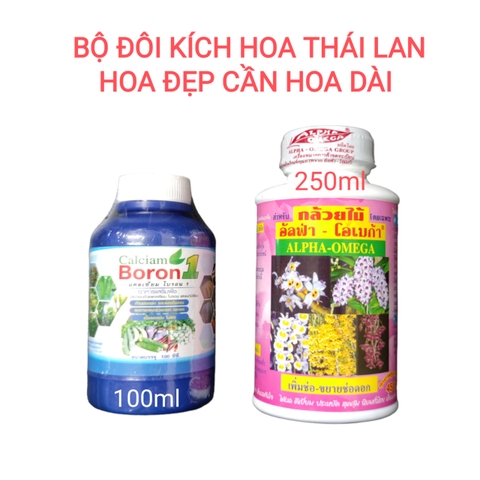 Bộ đôi kích hoa Alpha Omega và Boron Canxi Thái Lan
