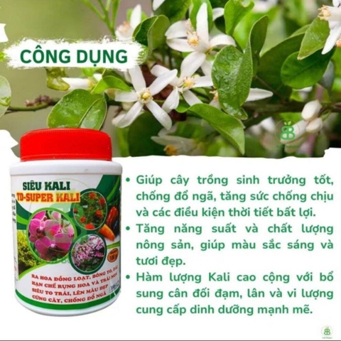Phân bón Super Kali NPK 7-5-44 giúp cứng cây, bông nở đều, bông to, màu sắc đẹp.