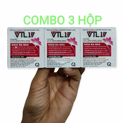 Siêu kích Hoa VTL 17, bôi là ra hoa