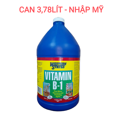 Phân bón lá Vitamin B1 Western States 1gallon (3,78 lít) nhập khẩu Mỹ, kích rễ, lưu dẫn phân bón