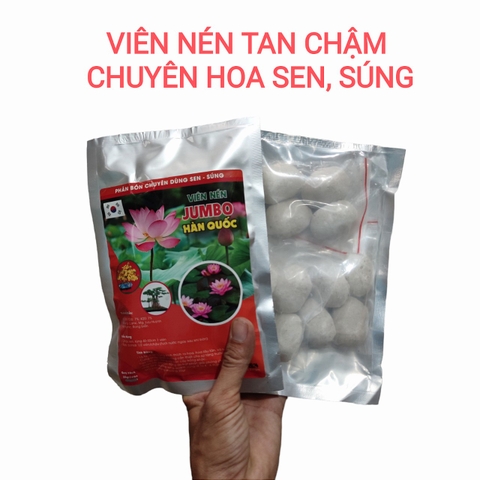 Viên nén Sen Súng,cây cảnh ngập nước Jumo Hàn Quốc 12viên - 300gr