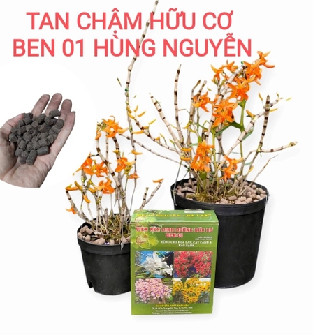 Viên nén hữu cơ BEN-01 HÙNG NGUYỄN – Bao 10ký, Chuyên Lan Kiếm, Giả hạc, Dendro, Cây Kiểng