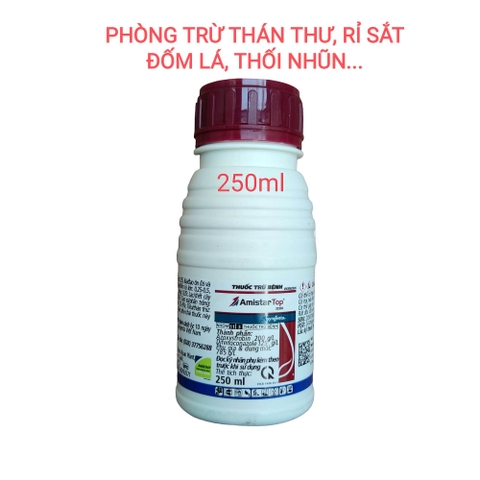Phòng trừ nấm bệnh Amistar Top 325SC từ Hàn Quốc