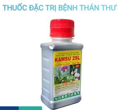KAMSU 2SL đặc trừ thán thư trên cây trồng, lọ 100ml