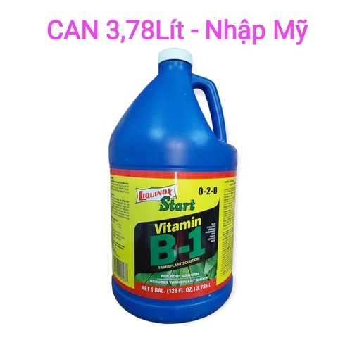 Phân bón kích thích ra rễ Liquinox Start 0-2-0 Vitamin B1 Can 3.8 lít nhập khẩu Mỹ