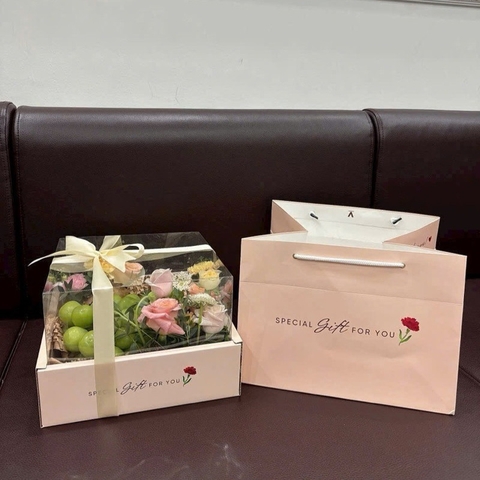 SET 5 Bộ Hộp Vuông 27x27x16  Kèm Túi Xách - Đựng trái cây , Set Quà Tặng