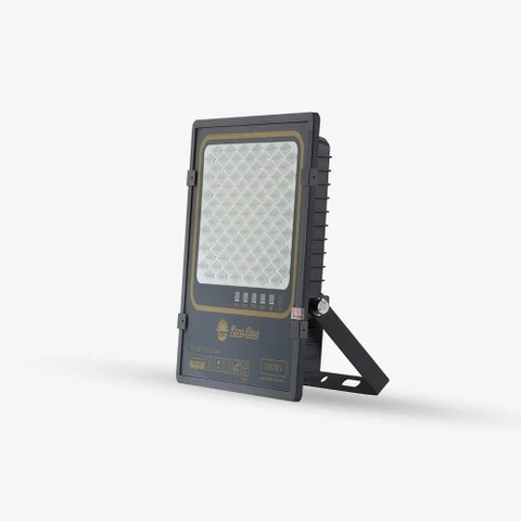 Đèn pha NLMT RẠNG ĐÔNG-100W