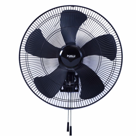 Quạt treo CN Hali B4 TC197D