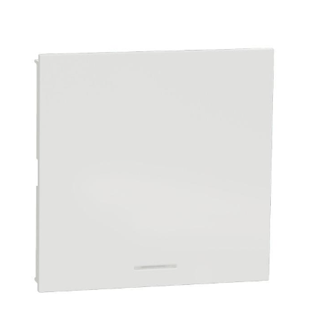 Công tắc 1 chiều 16AX Schneider size E (AvatarOn A) - bắt vít