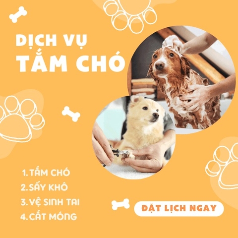 Demo ĐẶT LỊCH - Điều trị