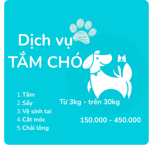 Dịch vụ Tắm căn bản cho chó