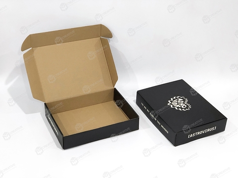 CT010 - Hộp Carton Sóng