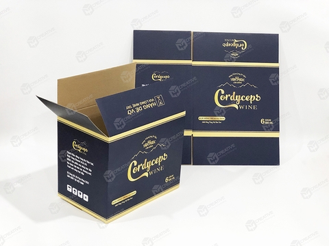 CT011 - Hộp Carton Sóng