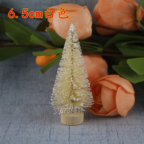 MC - Set 5 Cây thông TRẮNG NGÀ đế GỖ 6,5CM