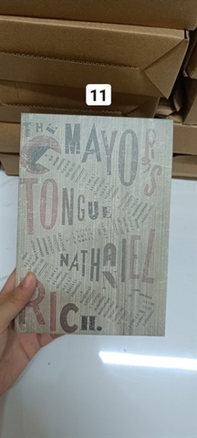 Sách mô hình hiện đại (tiểu thuyết)