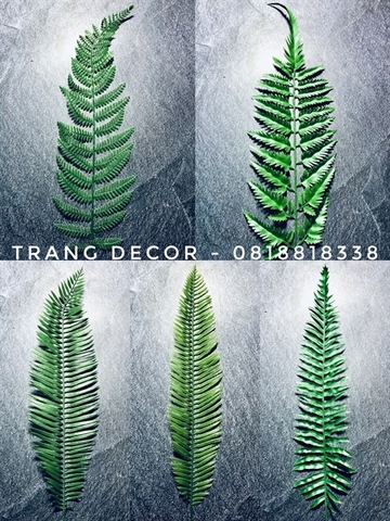 Cành lá dừa+dương xỉ nhỏ