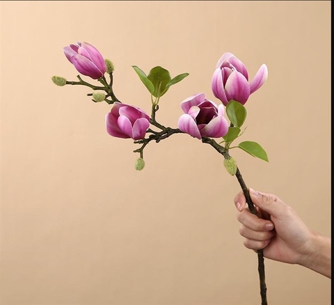 Cành hoa mộc lan màu HỒNG TÍM