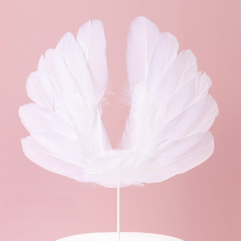 Cánh thiên thần trắng