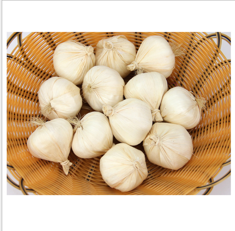 Mô hình củ tỏi ( set 5 củ)