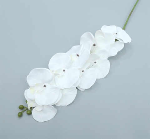 Cành hoa lan 66cm - màu TRẮNG