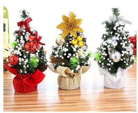 Châu cây thông hoa bạc (20cm)