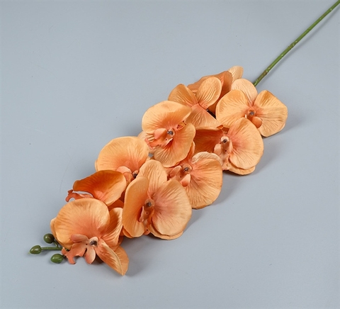 Cành hoa lan 100cm - màu CAM