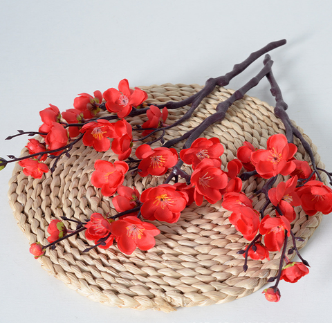 TẾT-Cành hoa đào đỏ