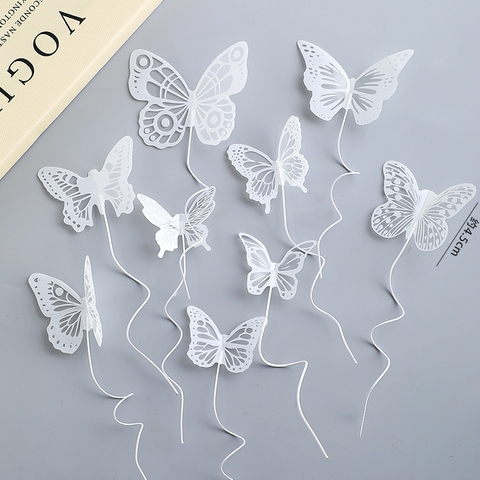 Bướm mica trắng 10 con mã mới