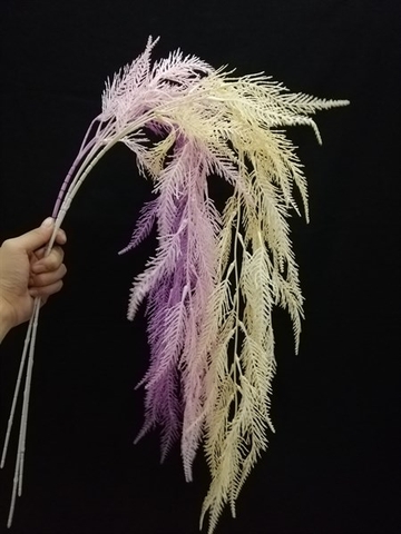 cành liễu rủ sắc màu