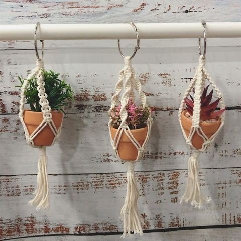Decor - Set 3 chậu cây hoa mini + Dây treo (Set)