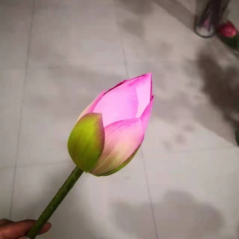 H54 Nụ hoa sen màu hồng