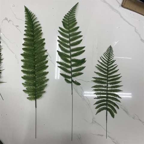 Lá dương xỉ đơn to (KT: 59 x 12)
