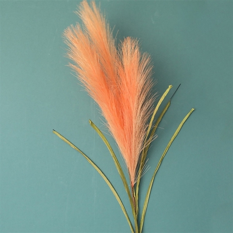 Bông lau CAM 100cm
