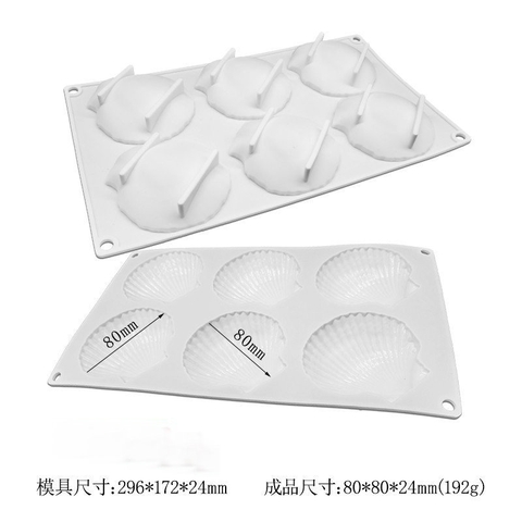 Khuôn slc 6 vỏ sò trắng