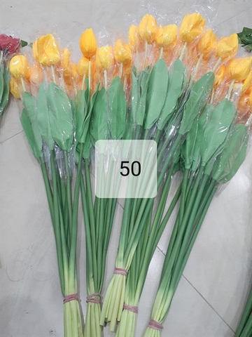 hoa tuplip màu vàng