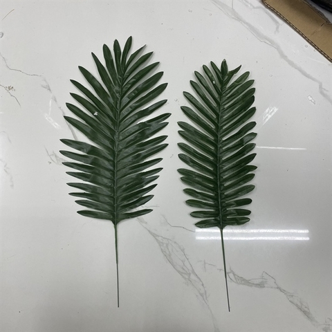 Lá cọ to (KT: 46 x 18)