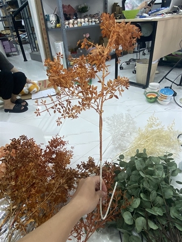 Cành lá kim (cam)