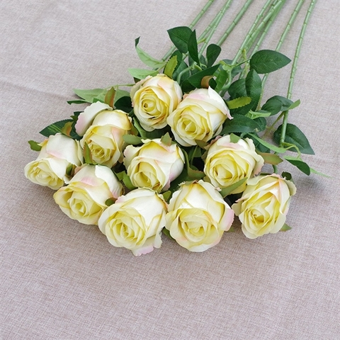 Cành hoa hồng 51cm - màu TRẮNG PHỚT VÀNG