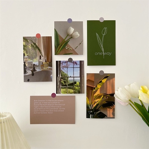 Sét postcard ONE WAY hoa tulip (6 tấm/sét)