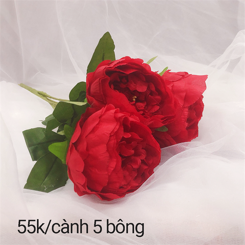 Hoa Mẫu Đơn màu ĐỎ 5 BÔNG