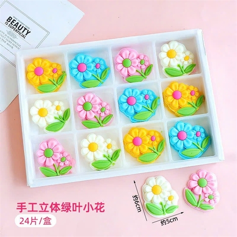 Hộp hoa SCL sắc màu 24 bông