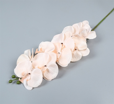 Cành hoa lan 100cm - màu HỒNG