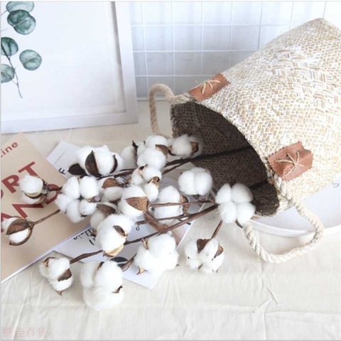 Cành hoa bông gòn 43cm (6 bông/cành)